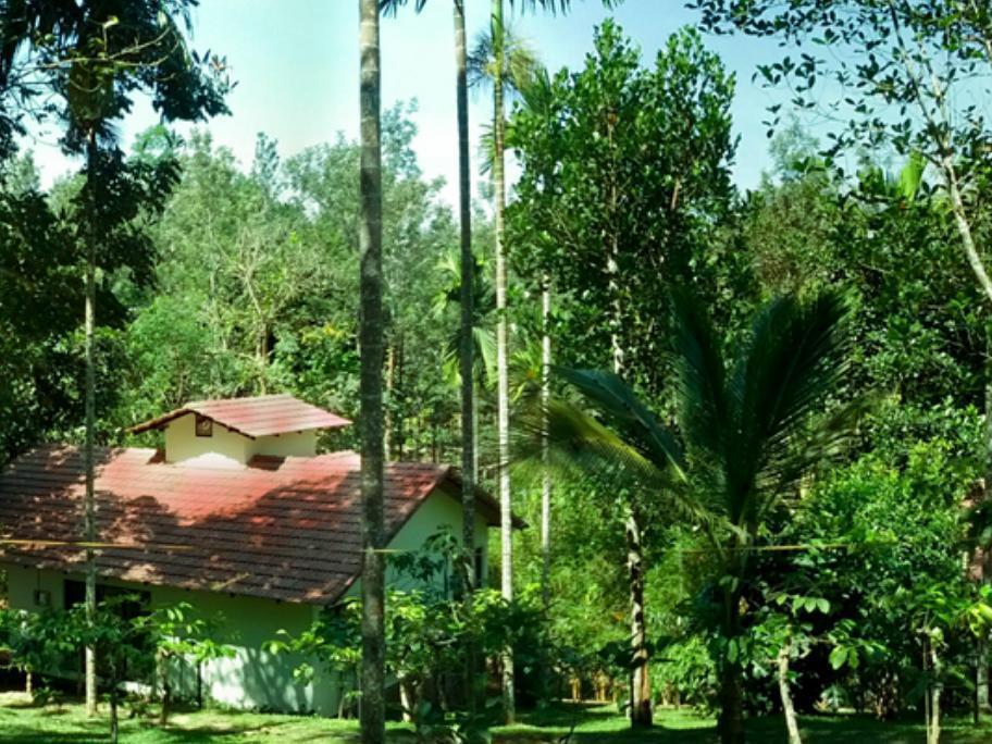 Willow Resorts Ambalavayal Exterior foto